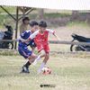 faiz_avian31