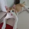rupna.rupna4