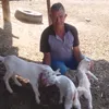 sitiodogarcia