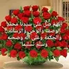sambn231