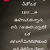 user16115806026151