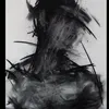 hareadsaefaden4
