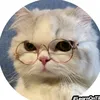 ...nguyen_111