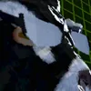 justskellyvr