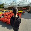 ydk.sophieee