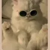 is.zoe0