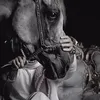 khaled.mohamad79