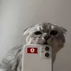 renatjltt0x