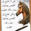 user29680639883198