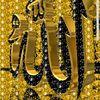 hayatseid252