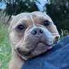 pocketbullofcinnamon