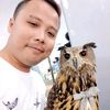 p.bird08