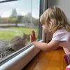 mrpappajunior