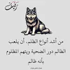 user9235998371312