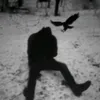 crazydeadshit