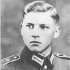division_panzer12