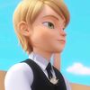 paondumiraculous
