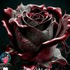 user7260384122820