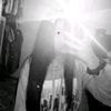 cammr._b
