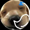 maybayphanluc27