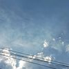 tan_panama888