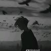 zidannurgibran3