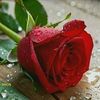 .s..w..m