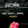 nuru.husen79