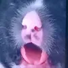 gokutiktok.com1