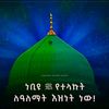 omer123036