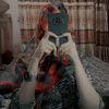 areejhusaain7860