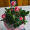 user8817239611554