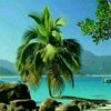 user9518711528081