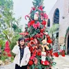 Hai Củ Lạc Tam Đảo