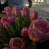 user21819108191