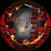 hau.huynh756
