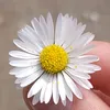 nena67610