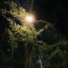 ruhi_islam38