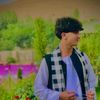 shahab.arefi2