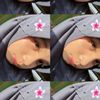 info_173