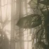vera_12d