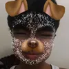 sigmaboygabriel