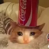 lopzgd