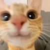 zoemendoza784