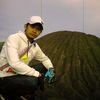 hary62314