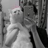 user5418419687650