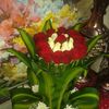 user1733019873800