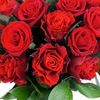 nuralam.111222