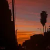 pale_shadows_