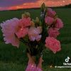 user5991376260861